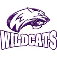 GLT32 PURPLE GLITTER Thumbnail